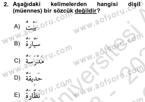 Arapça 1 Dersi 2023 - 2024 Yılı Yaz Okulu Sınav Soruları 2. Soru