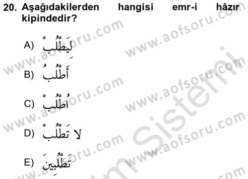 Arapça 1 Dersi 2023 - 2024 Yılı Yaz Okulu Sınav Soruları 20. Soru