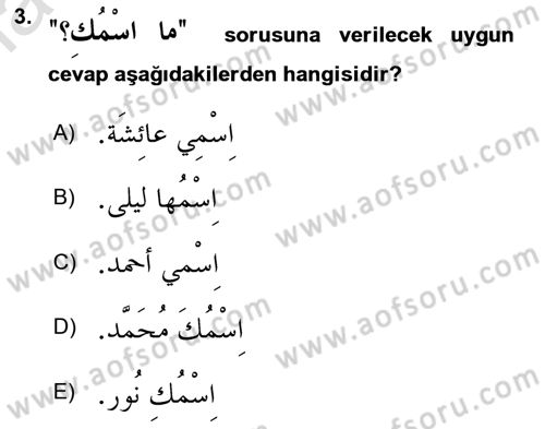 Arapça 1 Dersi 2023 - 2024 Yılı Yaz Okulu Sınavı 3. Soru