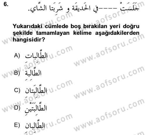 Arapça 1 Dersi 2023 - 2024 Yılı Yaz Okulu Sınav Soruları 6. Soru