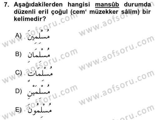 Arapça 1 Dersi 2023 - 2024 Yılı Yaz Okulu Sınav Soruları 7. Soru