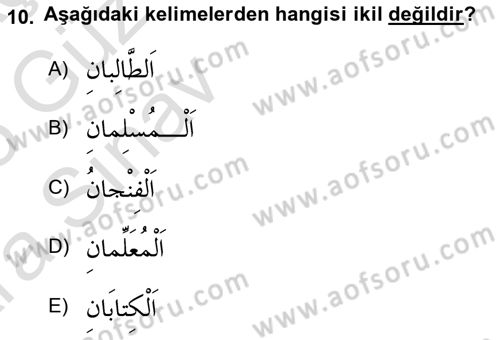 Arapça 1 Dersi Ara Sınavı Deneme Sınav Soruları 10. Soru