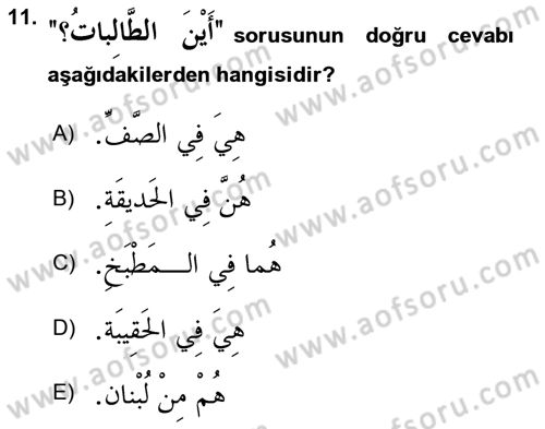 Arapça 1 Dersi Ara Sınavı Deneme Sınav Soruları 11. Soru