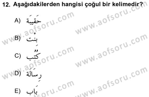 Arapça 1 Dersi Ara Sınavı Deneme Sınav Soruları 12. Soru