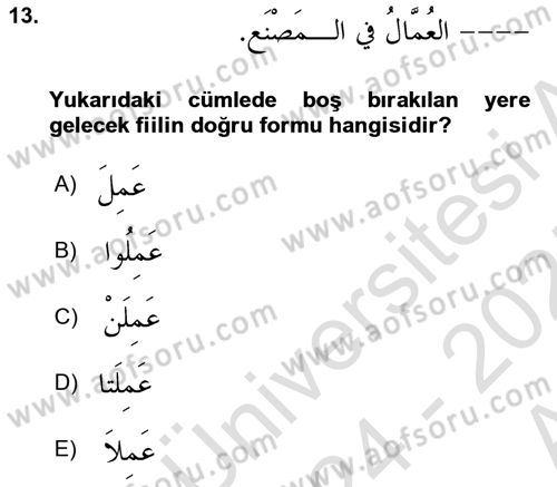 Arapça 1 Dersi Ara Sınavı Deneme Sınav Soruları 13. Soru