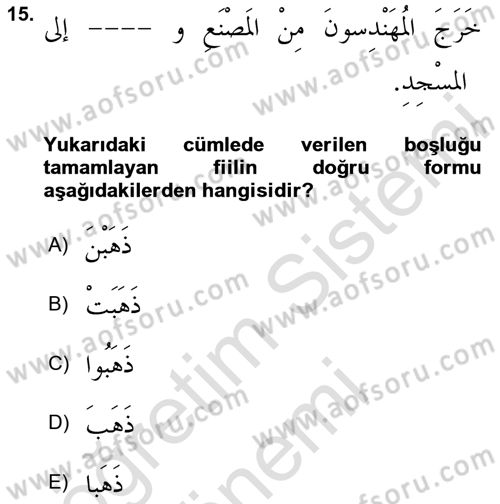 Arapça 1 Dersi Ara Sınavı Deneme Sınav Soruları 15. Soru