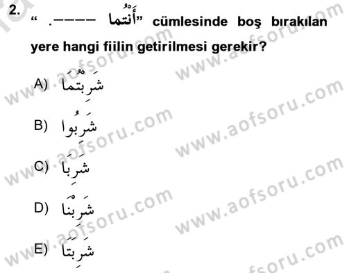 Arapça 1 Dersi Ara Sınavı Deneme Sınav Soruları 2. Soru