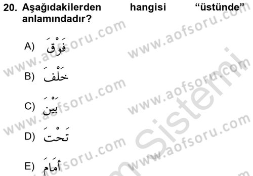 Arapça 1 Dersi 2024 - 2025 Yılı (Vize) Ara Sınav Soruları 20. Soru