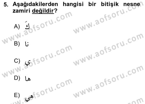 Arapça 1 Dersi Ara Sınavı Deneme Sınav Soruları 5. Soru