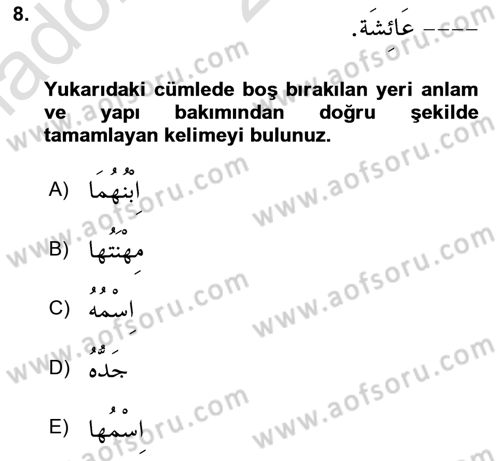 Arapça 1 Dersi Ara Sınavı Deneme Sınav Soruları 8. Soru