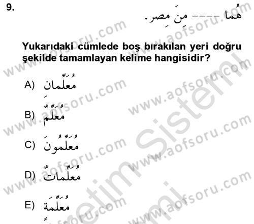 Arapça 1 Dersi Ara Sınavı Deneme Sınav Soruları 9. Soru