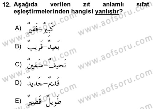 Arapça 1 Dersi 2024 - 2025 Yılı (Final) Dönem Sonu Sınav Soruları 12. Soru