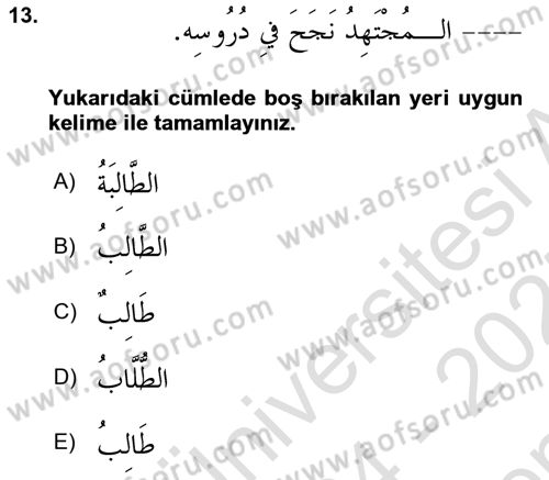 Arapça 1 Dersi 2024 - 2025 Yılı (Final) Dönem Sonu Sınav Soruları 13. Soru