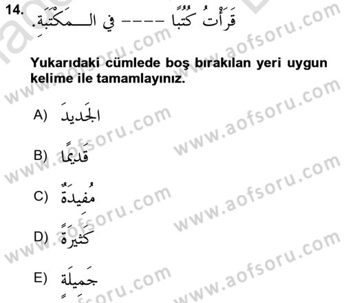 Arapça 1 Dersi 2024 - 2025 Yılı (Final) Dönem Sonu Sınav Soruları 14. Soru