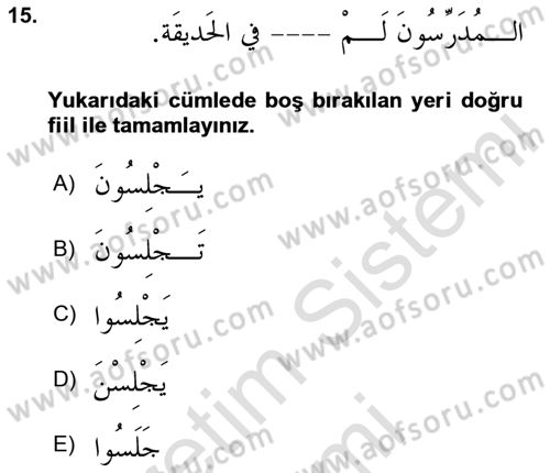 Arapça 1 Dersi 2024 - 2025 Yılı (Final) Dönem Sonu Sınav Soruları 15. Soru