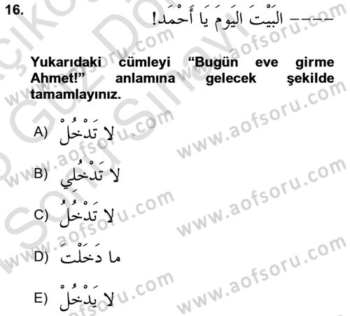 Arapça 1 Dersi 2024 - 2025 Yılı (Final) Dönem Sonu Sınav Soruları 16. Soru