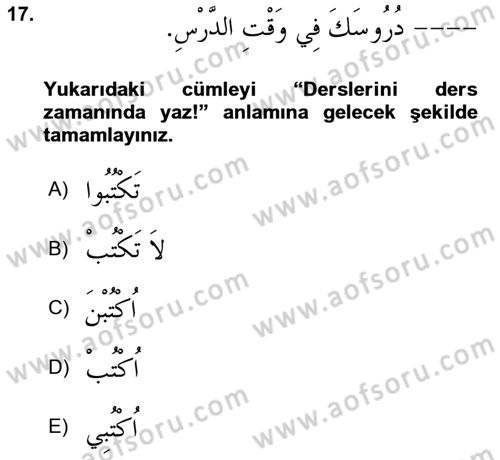 Arapça 1 Dersi 2024 - 2025 Yılı (Final) Dönem Sonu Sınav Soruları 17. Soru