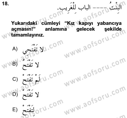 Arapça 1 Dersi 2024 - 2025 Yılı (Final) Dönem Sonu Sınav Soruları 18. Soru