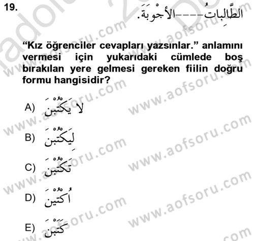 Arapça 1 Dersi 2024 - 2025 Yılı (Final) Dönem Sonu Sınav Soruları 19. Soru