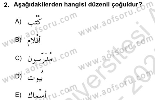 Arapça 1 Dersi 2024 - 2025 Yılı (Final) Dönem Sonu Sınav Soruları 2. Soru
