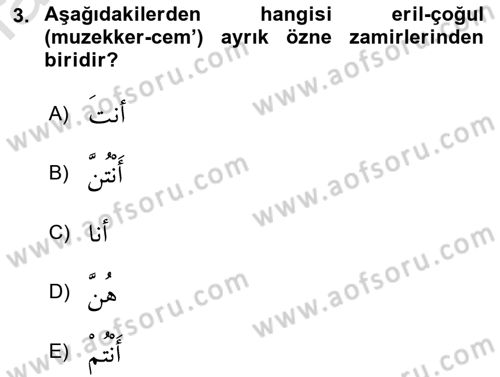 Arapça 1 Dersi 2024 - 2025 Yılı (Final) Dönem Sonu Sınav Soruları 3. Soru