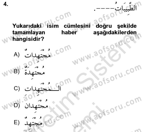 Arapça 1 Dersi 2024 - 2025 Yılı (Final) Dönem Sonu Sınav Soruları 4. Soru