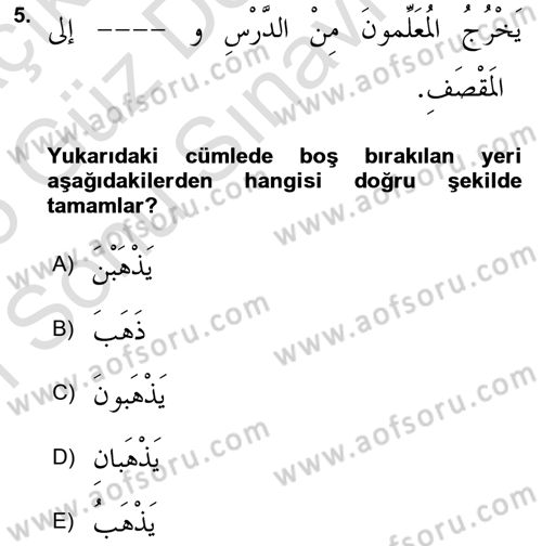Arapça 1 Dersi 2024 - 2025 Yılı (Final) Dönem Sonu Sınav Soruları 5. Soru
