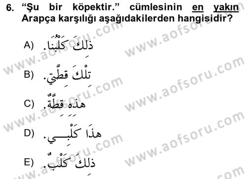 Arapça 1 Dersi 2024 - 2025 Yılı (Final) Dönem Sonu Sınav Soruları 6. Soru