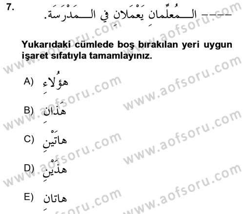 Arapça 1 Dersi 2024 - 2025 Yılı (Final) Dönem Sonu Sınav Soruları 7. Soru