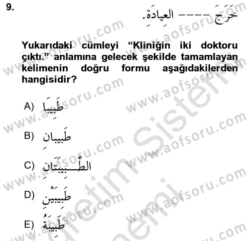 Arapça 1 Dersi 2024 - 2025 Yılı (Final) Dönem Sonu Sınav Soruları 9. Soru