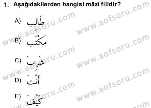 Arapça 1 Dersi 2024 - 2025 Yılı Yaz Okulu Sınav Soruları 1. Soru