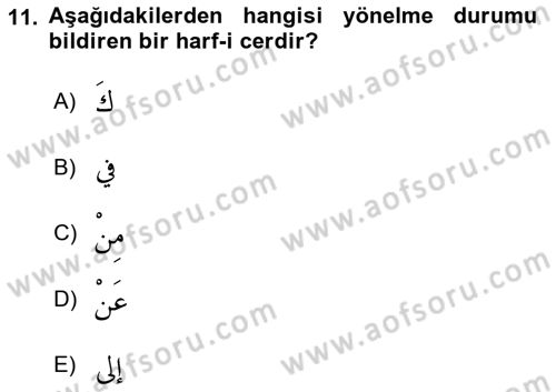 Arapça 1 Dersi 2024 - 2025 Yılı Yaz Okulu Sınav Soruları 11. Soru