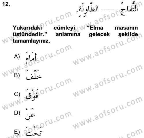 Arapça 1 Dersi 2024 - 2025 Yılı Yaz Okulu Sınav Soruları 12. Soru