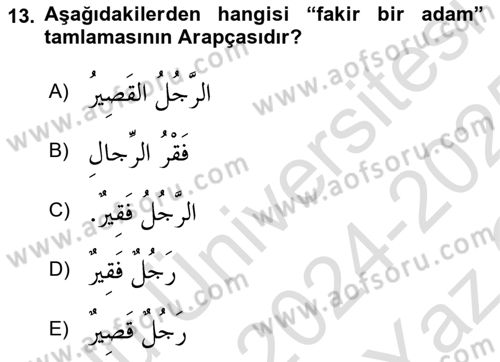 Arapça 1 Dersi 2024 - 2025 Yılı Yaz Okulu Sınav Soruları 13. Soru