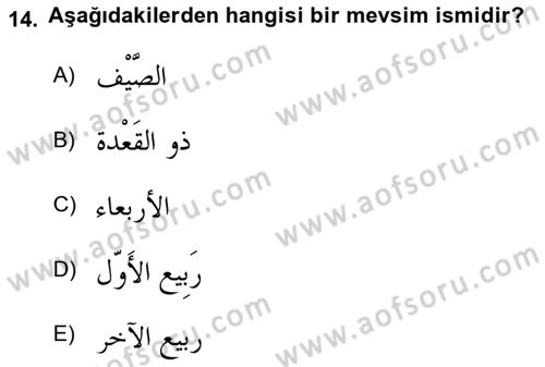 Arapça 1 Dersi 2024 - 2025 Yılı Yaz Okulu Sınav Soruları 14. Soru
