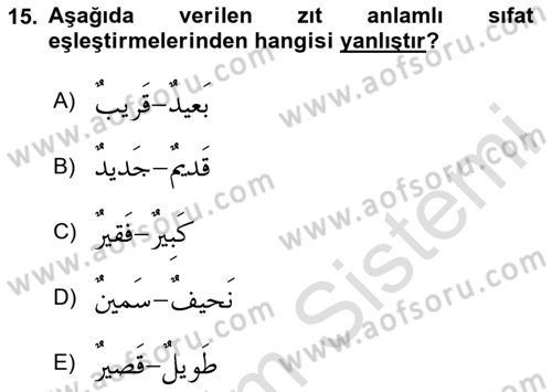 Arapça 1 Dersi 2024 - 2025 Yılı Yaz Okulu Sınav Soruları 15. Soru
