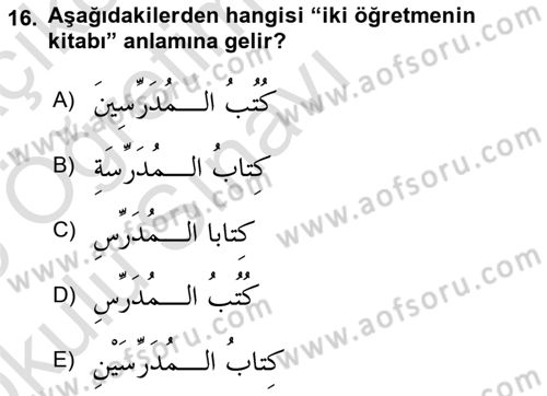 Arapça 1 Dersi 2024 - 2025 Yılı Yaz Okulu Sınav Soruları 16. Soru