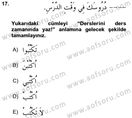 Arapça 1 Dersi 2024 - 2025 Yılı Yaz Okulu Sınav Soruları 17. Soru