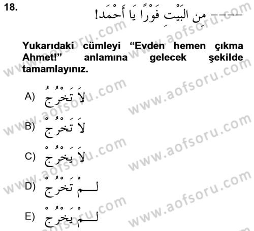 Arapça 1 Dersi 2024 - 2025 Yılı Yaz Okulu Sınav Soruları 18. Soru