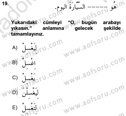 Arapça 1 Dersi 2024 - 2025 Yılı Yaz Okulu Sınav Soruları 19. Soru