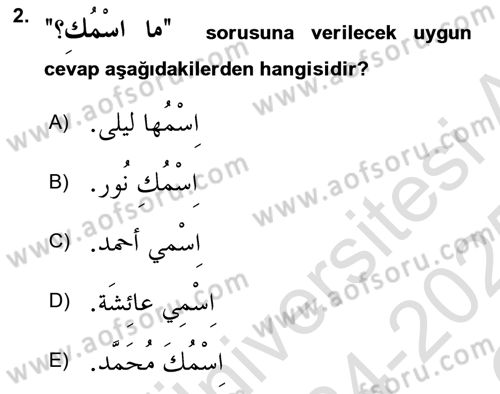 Arapça 1 Dersi 2024 - 2025 Yılı Yaz Okulu Sınav Soruları 2. Soru