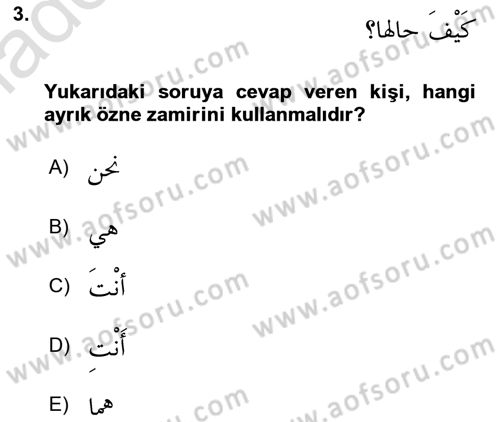 Arapça 1 Dersi 2024 - 2025 Yılı Yaz Okulu Sınav Soruları 3. Soru