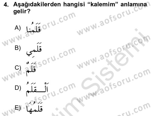 Arapça 1 Dersi 2024 - 2025 Yılı Yaz Okulu Sınav Soruları 4. Soru