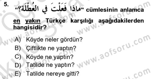 Arapça 1 Dersi 2024 - 2025 Yılı Yaz Okulu Sınav Soruları 5. Soru