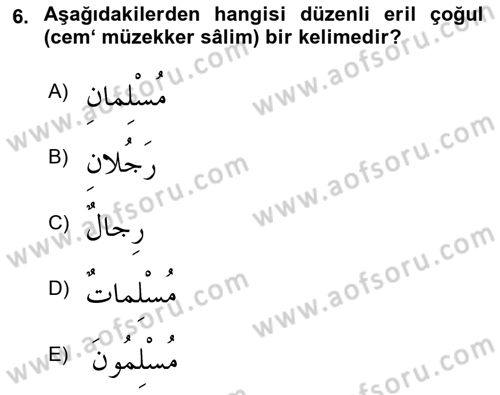 Arapça 1 Dersi 2024 - 2025 Yılı Yaz Okulu Sınav Soruları 6. Soru