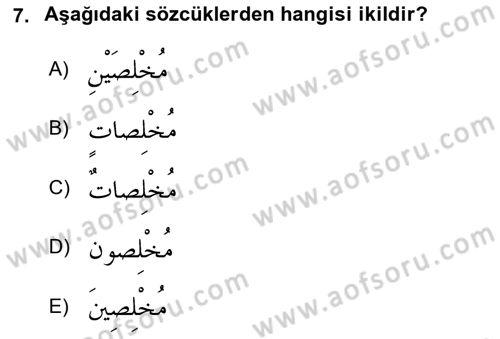 Arapça 1 Dersi 2024 - 2025 Yılı Yaz Okulu Sınav Soruları 7. Soru