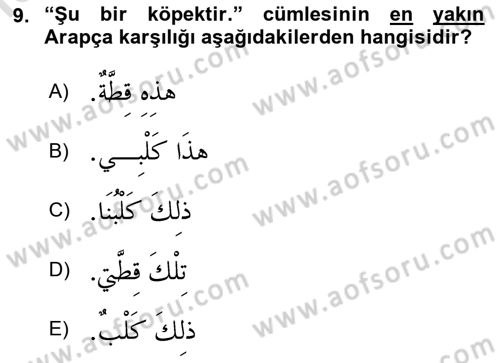 Arapça 1 Dersi 2024 - 2025 Yılı Yaz Okulu Sınav Soruları 9. Soru