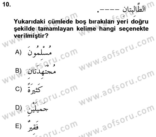 Arapça 1 Dersi 2025 - 2026 Yılı (Vize) Ara Sınav Soruları 10. Soru