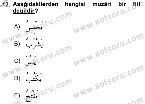 Arapça 1 Dersi 2025 - 2026 Yılı (Vize) Ara Sınav Soruları 12. Soru