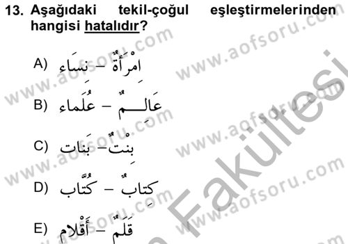 Arapça 1 Dersi 2025 - 2026 Yılı (Vize) Ara Sınav Soruları 13. Soru